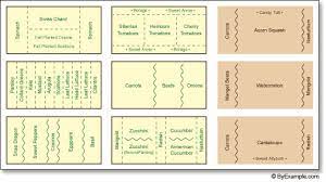 Companion Planting Vegetable Garden Planning Companion Planting Layout Planting Layout