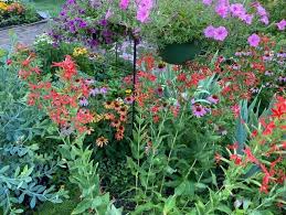 Maybe you would like to learn more about one of these? Native Plants Backyard Challenge Would Restore Natural Habitats Attract Birds In Central Ohio