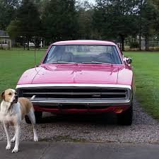 Image result for Panther Pink 1970 Polara