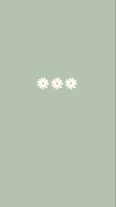 Wallpaper Polos Aesthetic In 2021 Color Wallpaper Iphone Cute Simple Wallpapers Daisy Wallpaper
