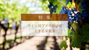 ワイン用ブドウが必要とする栄養素 Grwrs