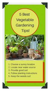 Designing Your Vegetable Garden Layout Garden Layout Vegetable Vegetable Garden Design Gardening Tips