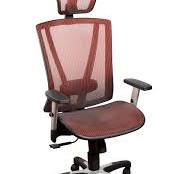 ErgoMax 53 in Tall Red Ergonomic Adjustable Office Chair, Home Office  Ergonomic Chair, Ergonomic Chair with Headrest, Office Chairs with Lumbar  ...