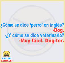 Pin En Chistes Cortos Geniales