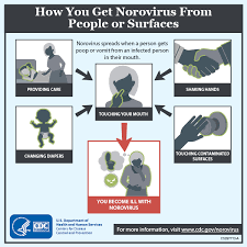 1 in 160 will be hospitalized. How Norovirus Spreads Cdc