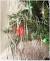 Christmas Tree Covered In Angel Hair