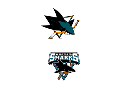 San Jose Sharks Syko About Goalies