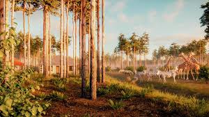 Pak de kaki hoedjes en fototoestellen er maar bij, want in safaripark beekse bergen wacht jullie een echt afrikaans avontuur!samen met een parkranger gaan jullie op de savanne op zoek naar de befaamde 'big five'.maar naast olifanten, luipaarden, neushoorns, buffels en leeuwen vind je nog véél meer wilde dieren in het safaripark: Beekse Bergen On Twitter Nieuws Beekse Bergen Breidt Uit Met Een Uniek Safari Resort Waar Je Straks Letterlijk Tussen De Dieren Overnacht Https T Co J0fiuvv4ex Https T Co Ezyf0bbbws