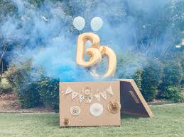 It'll take more than words to show you how extreme these are getting. Top 10 Gender Reveal Ideas In 2021