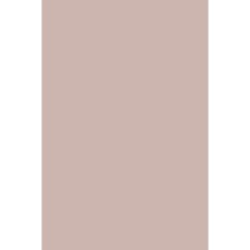 Farrow + ball paint colours primer + undercoats farrow + ball x natural history museum brushes + rollers furniture new in archive house house rugs cushions + throws lighting kitchen kitchen brushes utility bath garden you. Farrow Ball Pink Drab No 207 Online Kopen Bestel Hier Verfwebwinkel Nl