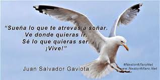 Y por ambas le estoy agradecido ray. 43 Ideas De Ex Ipmc Juan Salvador Gaviota Frases Juan Salvador Gaviota Frases
