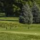 Dundee Township Park District Open