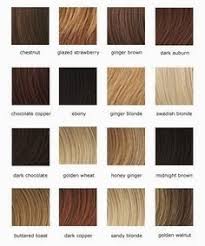 Fall In Love With Hair Color Chart Colour Chart Hair