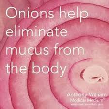 8 Foods That Reduce Mucus Phlegm And Snot Medical Medium Health And Nutrition Healing Food