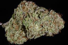 Discover critical mass's effects, flavor, cbd and thc critical mass is a combination of afghani and skunk #1 that originated from the breeder mr. Critical Mass Bonza Blog