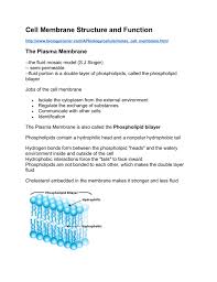 Structure and function of memb. Cell Membrane Structure And Function