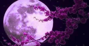 Téléchargez gratuitement lune rose illustrations et images vectorielles dans 32 styles différents. Horomag Lune Rousse 2019 C Est Maintenant