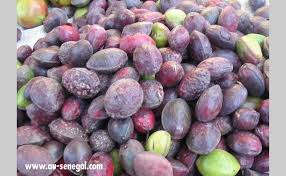 Guerte Toubab Fruit Fruits Fruits Exotiques