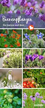 Pin On Blumen Verschicken