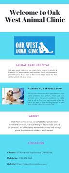 Top-rated Veterinary Clinic In London Riverbend On Pet Clinic Veterinary Clinic Veterinary Care