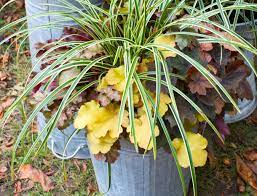 Plante pour jardiniere exterieure cette anne nous nous sommes enfin dcids la remplir de plantes. 5 Jardinieres Longue Duree Detente Jardin