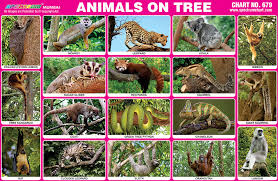Spectrum Educational Charts Chart 679 Animals On Tree