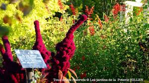 Jardin gourmand de type médiéval ; Nous Vous Souhaitons Un Les Jardins De La Poterie Hillen Facebook