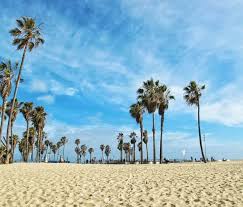 Welcome to the pennsylvania online license verification service. Become A Nurse In California Nursejournal Org