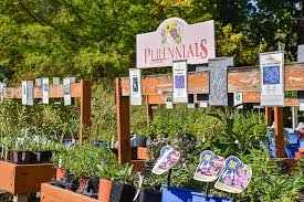 Nurseries & greenhouses · closed · 1 on yelp. Greystone Gardens Clarks Summit Discovernepa