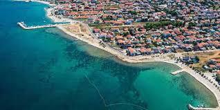 Image result for Kampochloa