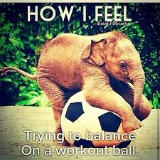 Balance Ball Humor Cute Animals Animals Beautiful Baby Elephants Playing