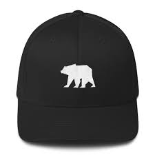 Use logodesign.net's logo maker to edit and download. Bear Gangsta Hat White Logo Arcane Bear