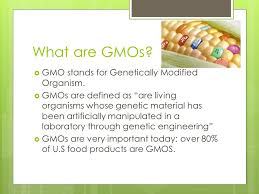 The most obvious difference from conventional breeding is that genetic modification allows us to transfer genes between species. Gmos The Pros And Cons By George Roy Period Ppt Video Online Download