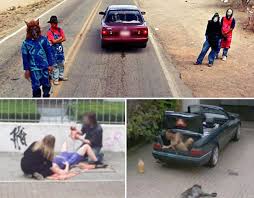 Google Maps The Weird And Wonderful Things Caught On Camera Pictures Pics Express Co Uk Funny Google Maps Pictures Funny Google Maps Google Maps Pictures