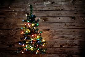 Check spelling or type a new query. Rockford S Top 10 Most Unique Christmas Trees