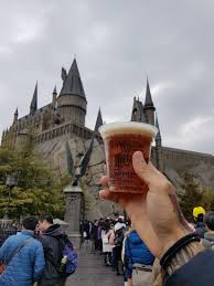 We recommend booking universal studios japan tours ahead of time to secure your spot. The Day I Lived My Dreams Universal Studios Osaka Japan Harrypotter