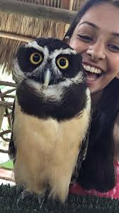 Let's welcome our new members! Mary Oga, Snake Rescue and Conservation  Centre, Miguel Chay, Neto Noronha, Castorina Aguilera, কষ্টের সাথে সস্তি  আছে, Matilda van Zyl, Tsi Tsih Le'jah, Nirmala Maity, Samir Khan,