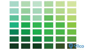 Kalau dalam bahasa indonesia, warna jungle mirip dengan forest yang berarti hutan namun jungle terlihat lebih muda. Daftar Macam Macam Warna Hijau Penjelasan Nama Dan Kode
