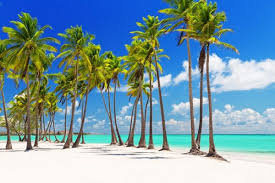 Book at least 1 week before departure in order to get a. Usa To Punta Cana Flight Deals Flight Deals From Europe Usa Asia And Australia Fly4free