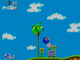 Created in 1991 as a new mascot to replace the previously unsuccessful alex kidd, and to competently compete against sega's rival nintendo. Sonic The Hedgehog Sega Affordable Gaming Cape Town