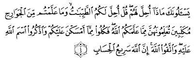 Σf = jumlah kemunculan kata (berdasarkan huruf arab gundul). Tafsir Ibnu Katsir Surah Al Maa Idah Ayat 4 3 Alqur Anmulia