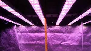 Best led grow lights for aquaponics. Ata Led Grow Light 1000w With Large Footprint Best Led Growing Lights Full Spectrum For Industry Growth China Led Grow Light Grow Led Light Made In China Com