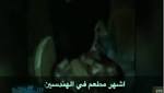 شاهد.."أحلى من الكلاب والحمير".. رجل