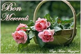 bon mercredi - calinette55