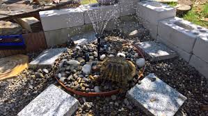 Dusche Fur Schildkroten Schildkrotengehege Schildkroten Freigehege Schildkrote Gehege