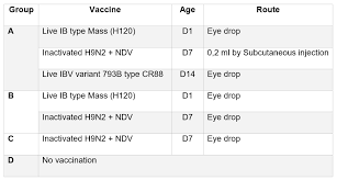 Study Shows Vaccination Programmes Containing Both Ai And Ib