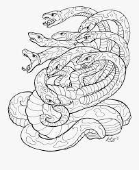 See more ideas about dragon coloring page, coloring pages, colouring pages. Hydra Three Headed Dragon Coloring Page Printable Hydra Drawing Transparent Free Transparent Clipart Clipartkey