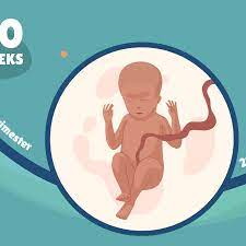 It was inspired by site searches which did not yield any results: 20 Weeks Pregnant Baby Development Symptoms And More