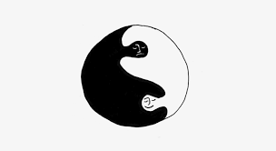The symbol is popular all over the world. People As The Yin Yang Symbol Yin And Yang 800x400 Png Download Pngkit