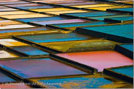 Landscape Photography Looking For Abstract Patterns In Nature Photography Texture Landscape Photography Landscape Photography Trees